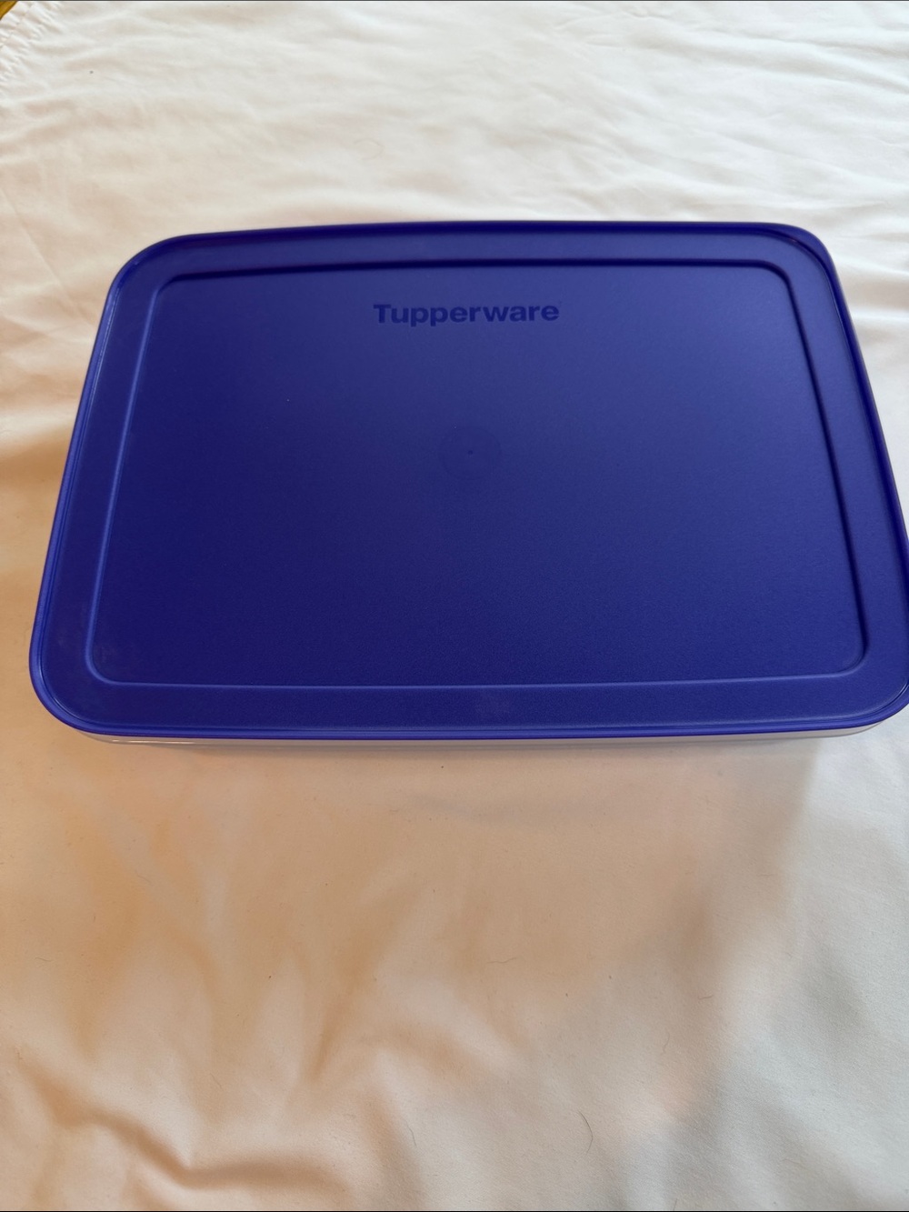Tupperware freezer container. (Large) 9 3/4 cup